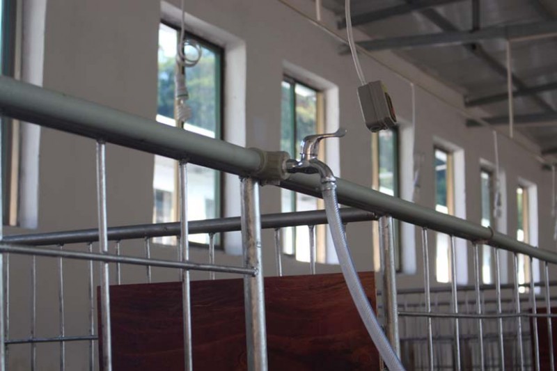 標準化羊舍圍欄